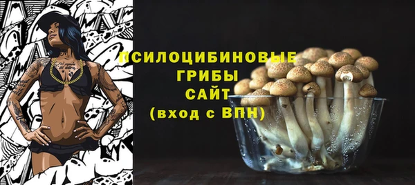 МДПВ Армянск