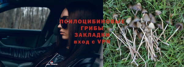 МДПВ Арсеньев
