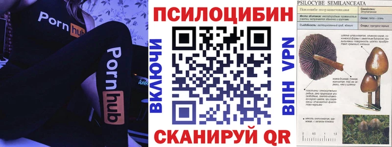 Псилоцибиновые грибы мухоморы Бахчисарай